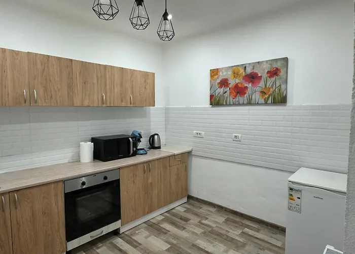 Apartament Diaconu Coresi Apartment *